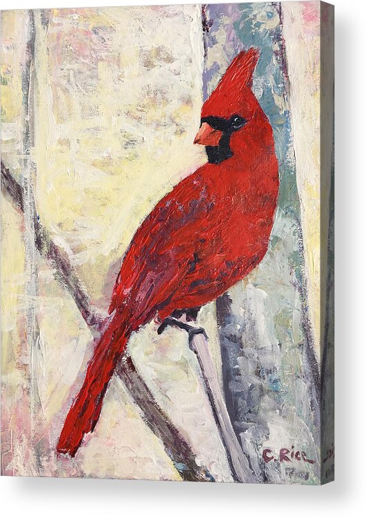 Cardinal Acrylic Print featuring the painting You Always Catch My Eye by Chris Rice