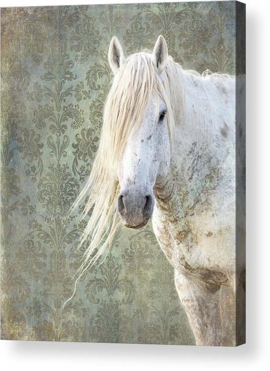 Fine Art Photography Acrylic Print featuring the photograph A Life Well Lived by Mary Hone
