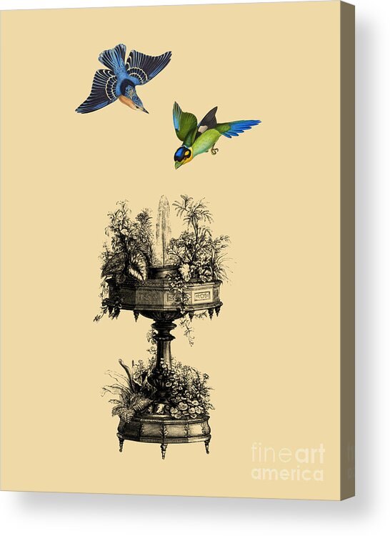 Birds Acrylic Print featuring the mixed media Fountain Birds #1 by Madame Memento