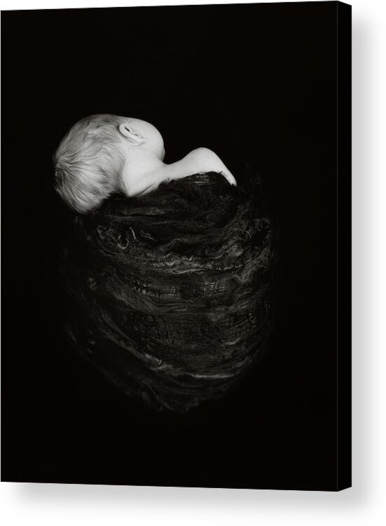 Black & White Acrylic Print featuring the photograph Holly in Black Silk #1 by Anne Geddes