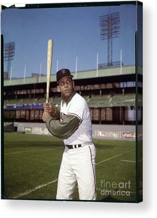 Sports Bat Acrylic Print featuring the photograph Orlando Cepeda by Louis Requena