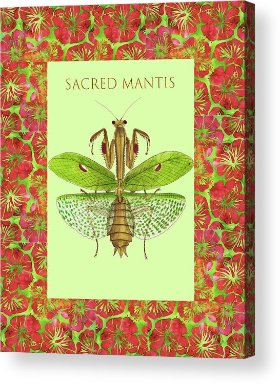 Praying Mantis Acrylic Print featuring the mixed media Sacred Mantis #2 by Lorena Cassady