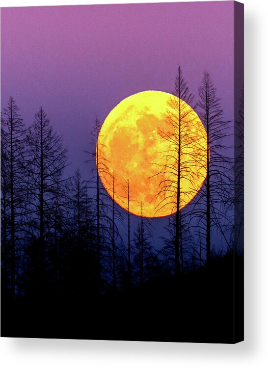 Full Moon Acrylic Print featuring the photograph Strawberry Rise by Shelby Erickson