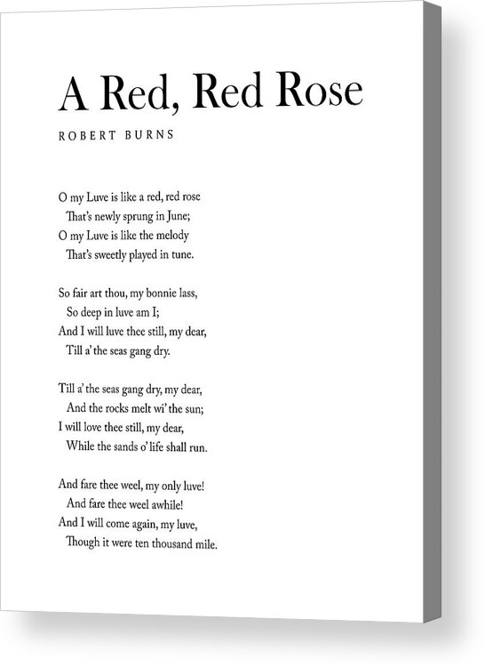 A Red Acrylic Print featuring the digital art A Red, Red Rose - Robert Burns Poem - Literature - Typography Print 2 by Studio Grafiikka