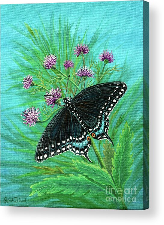 Swallowtail Acrylic Print featuring the painting A Swallowtail for Deanna by Sarah Irland