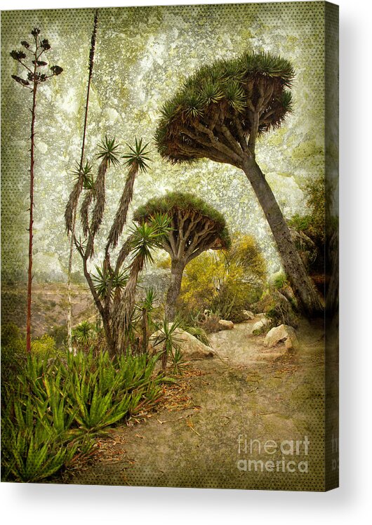 A Walk On The Wild Side Acrylic Print featuring the photograph A Walk On the Wild Side - Vertical - Dragon Trees, Desert Cactus Garden, Balboa Park, San Diego by Denise Strahm