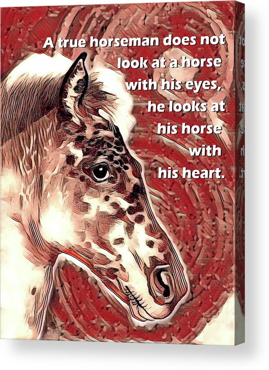 Appaloosa Horse Acrylic Print featuring the mixed media Appaloosa Horse Portrait with Quote by Equus Artisan