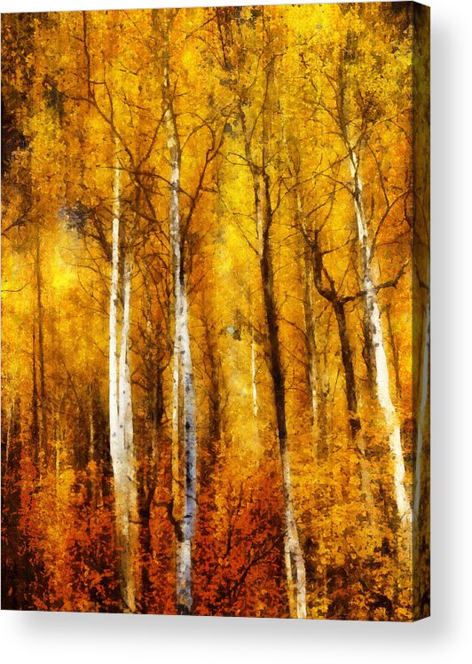 Autumn Aspens Painting Acrylic Print featuring the painting Autumn Aspens Painting by Dan Sproul