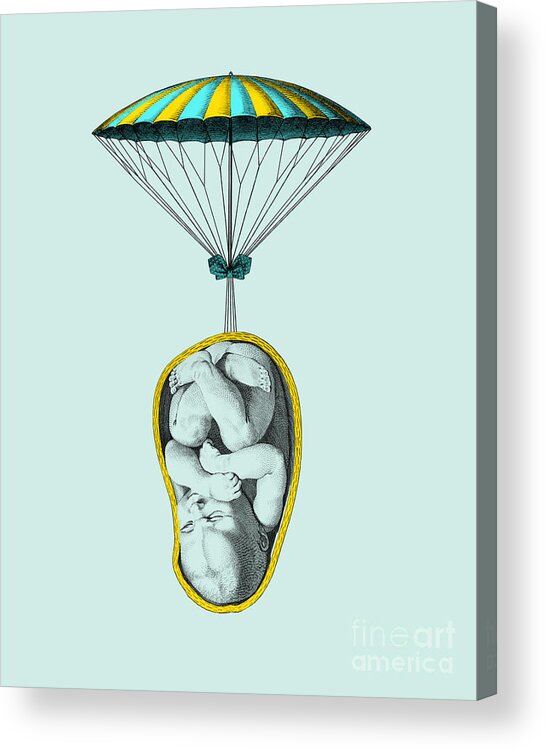 Baby Acrylic Print featuring the digital art Baby With Parachute by Madame Memento