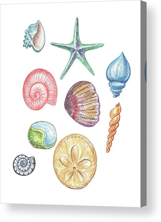 Beach Art Acrylic Print featuring the painting Beach Art Watercolor Sea Shells And Stars Art II by Irina Sztukowski