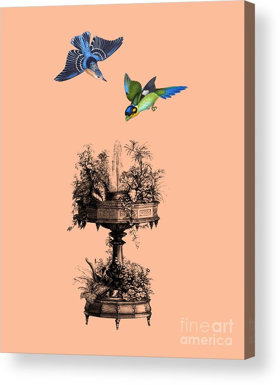 Birds Acrylic Print featuring the digital art Bird Fountain In Pink by Madame Memento