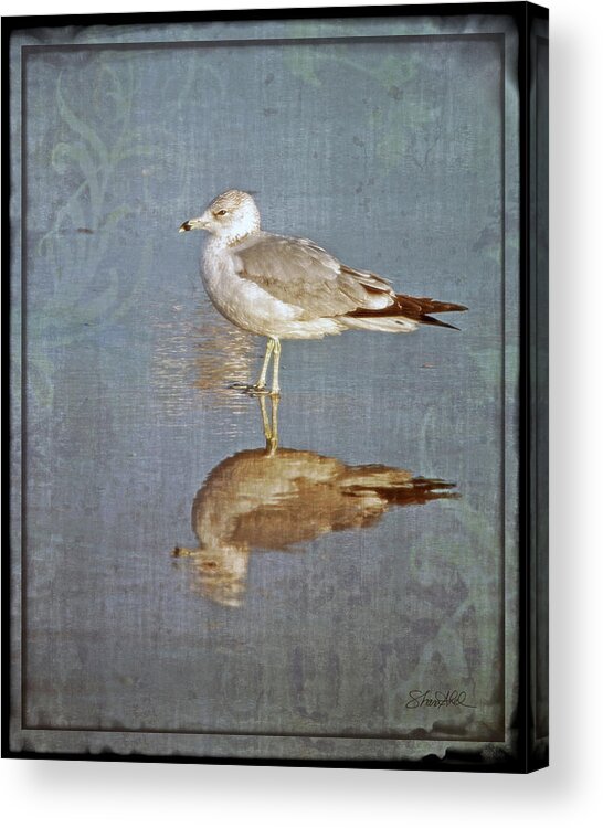 Fine Art Acrylic Print featuring the photograph Bird Reflection by Shara Abel