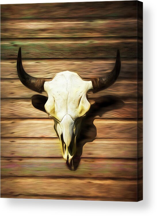 Kansas Acrylic Print featuring the photograph Bison Skull 009 by Rob Graham