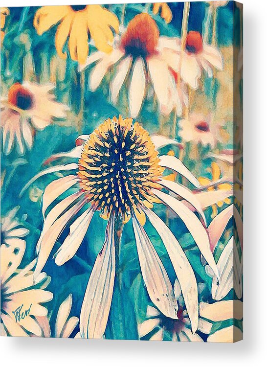 Flower Acrylic Print featuring the mixed media black eye Susan daisy by Tatiana Fess