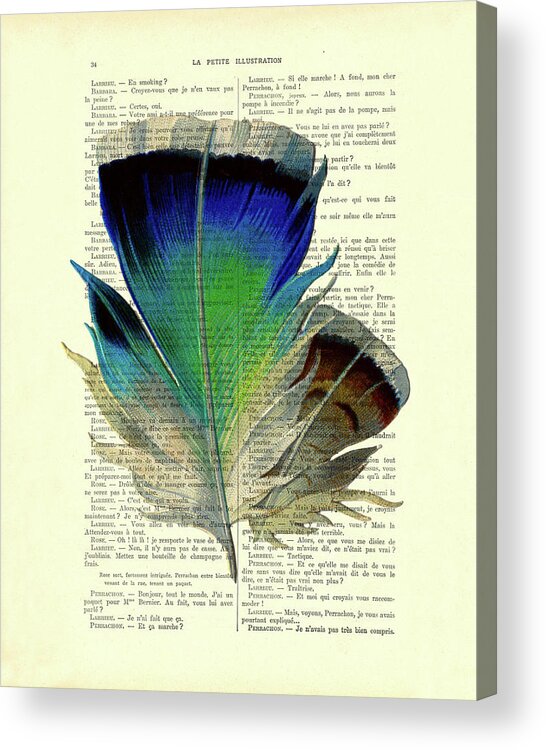 Feather Acrylic Print featuring the digital art Blue bird feather on a french book page by Madame Memento