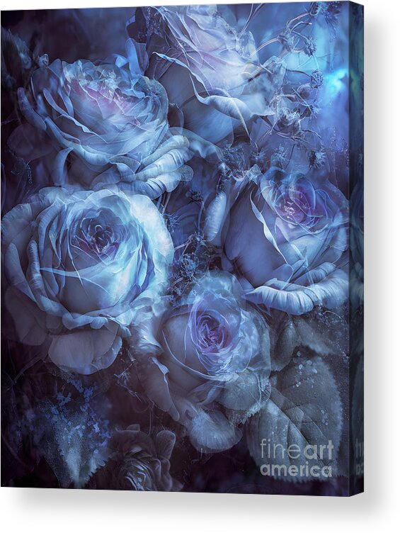 Blue Roses Art Acrylic Print featuring the mixed media Blue Roses Art by Shanina Conway