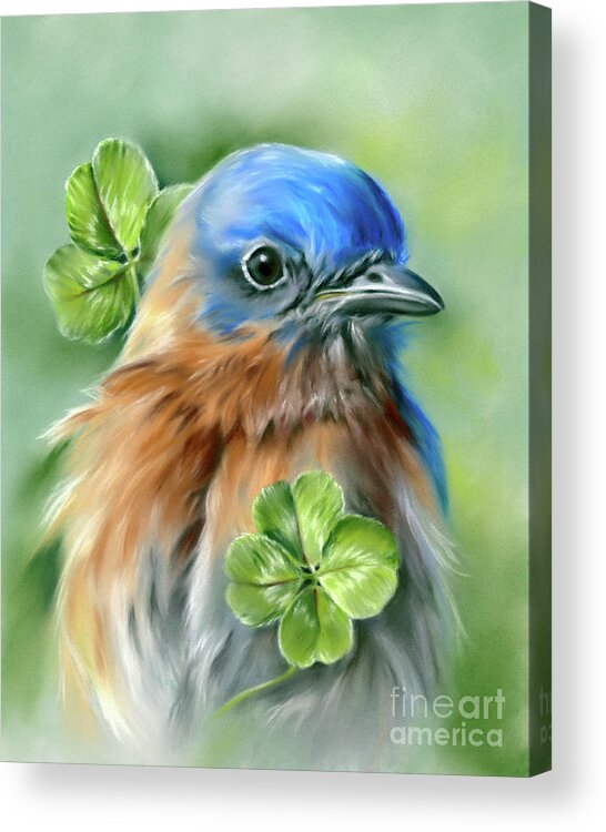 Bird Acrylic Print featuring the painting Bluebird for Happiness and Lucky Clover by MM Anderson