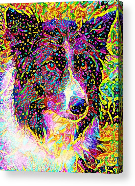 Wingsdomain Acrylic Print featuring the photograph Border Collie Dog in Vibrant Whimsical Colors 20210118 by Wingsdomain Art and Photography