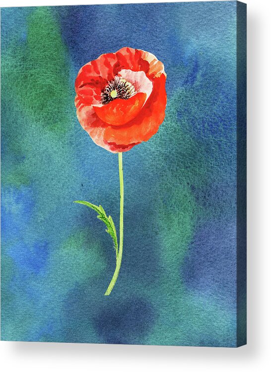 Poppy Acrylic Print featuring the painting Bright Beautiful Red Poppy Flower Happy Wildflower On Blue Watercolor IV by Irina Sztukowski