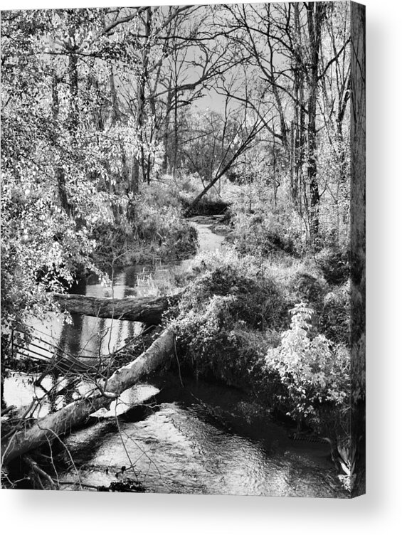 Landscape Acrylic Print featuring the photograph Broad Run - A Virginia Piedmont Impression by Steve Ember