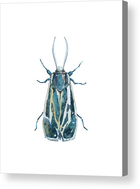 Face Mask Acrylic Print featuring the painting Bug Mask by Luisa Millicent