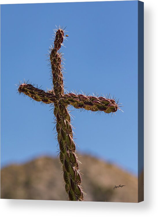 Cactus Acrylic Print featuring the photograph Cactus Cross by Jurgen Lorenzen