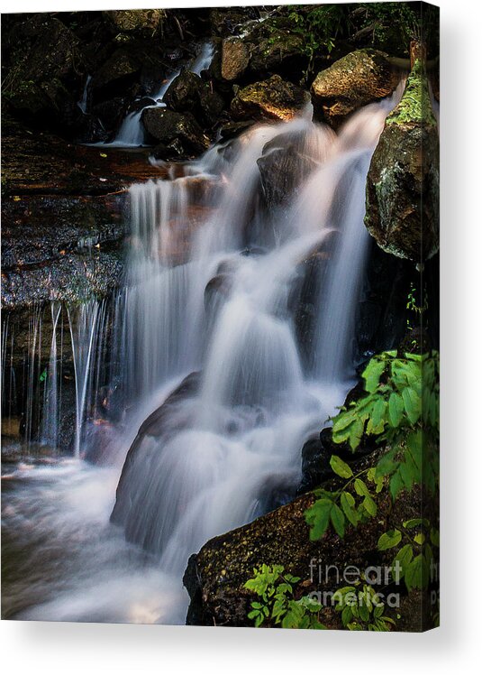 Amicalola Falls. Georgia Acrylic Print featuring the photograph Cascades at Amicalola by Nick Zelinsky Jr