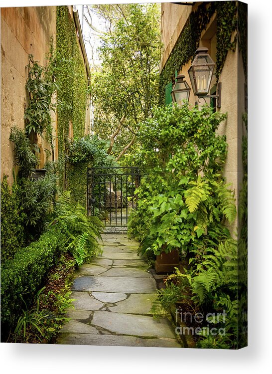 Charleston Acrylic Print featuring the photograph Charleston Garden Walkway - View 7 by Sturgeon Photography