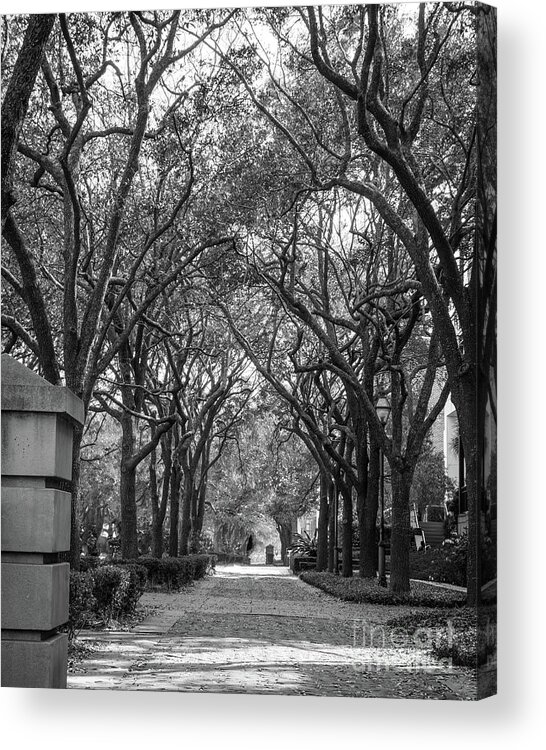 Charleston Acrylic Print featuring the photograph Charleston Waterfront Park walkway, S.C, black and white. by Sturgeon Photography
