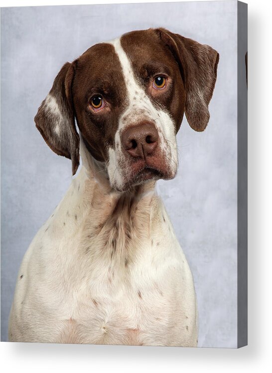 January2020 Acrylic Print featuring the photograph Charlie 1 by Rebecca Cozart