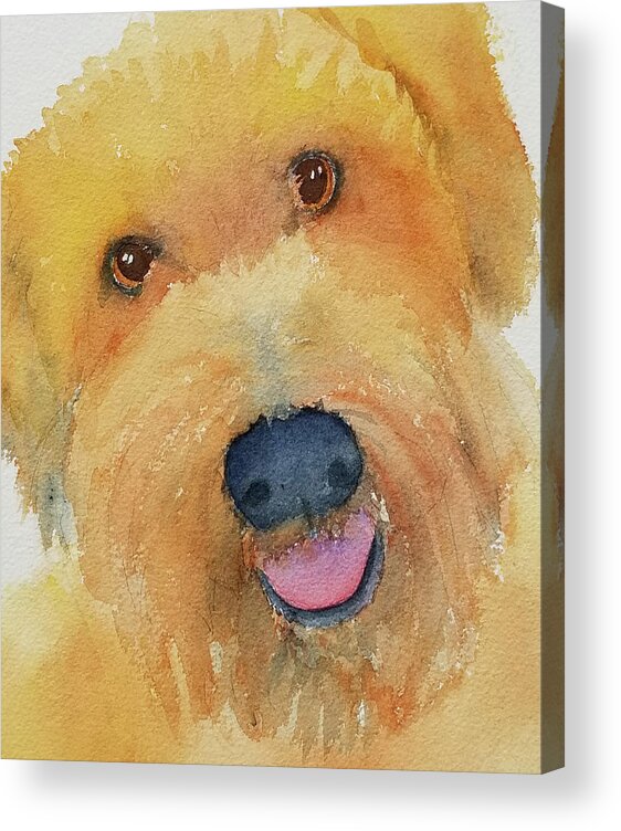 Charlie Acrylic Print featuring the painting Charlie by Judy Mercer