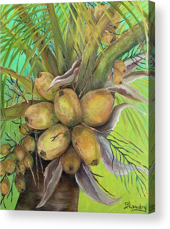 Oil Painting Acrylic Print featuring the painting Coconut Palm by Barbara Landry