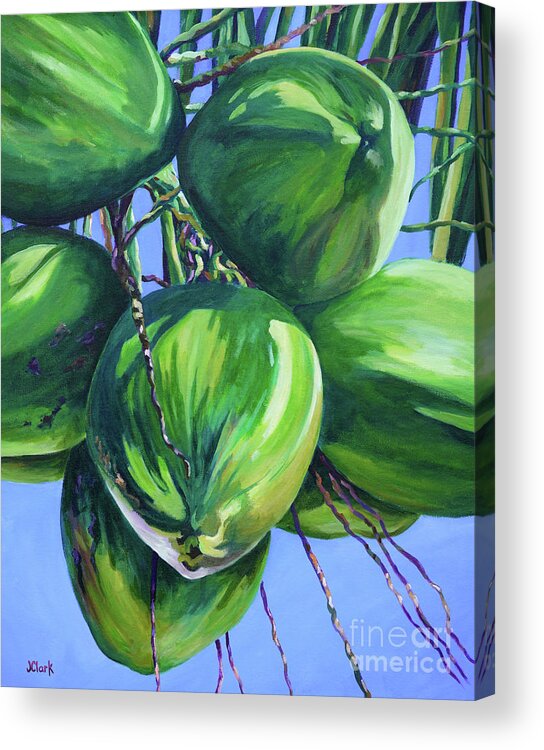 Art Acrylic Print featuring the painting Coconuts in a Palm Tree by John Clark