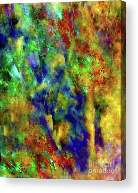 A-fine-art-painting-abstract Acrylic Print featuring the mixed media Color Rush by Catalina Walker