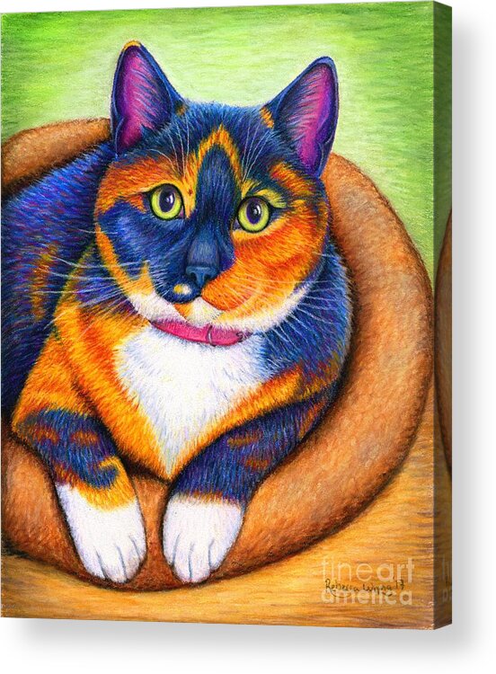Cat Acrylic Print featuring the drawing Colorful Calico Cat by Rebecca Wang