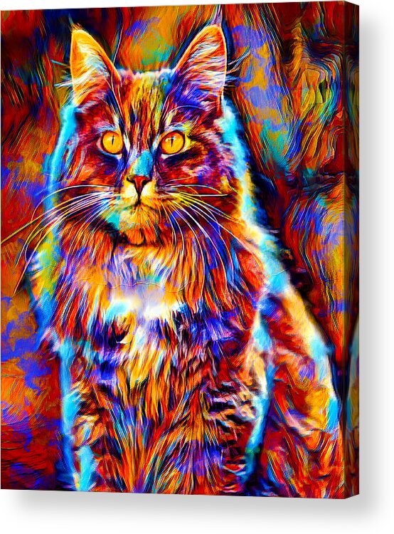 Maine Coon Acrylic Print featuring the digital art Colorful Maine Coon cat sitting - digital painting by Nicko Prints