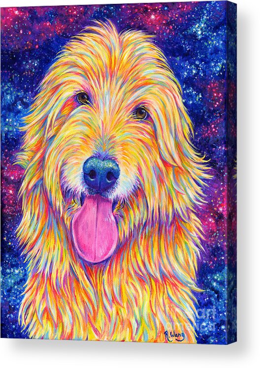 Goldendoodle Acrylic Print featuring the painting Colorful Rainbow Goldendoodle by Rebecca Wang