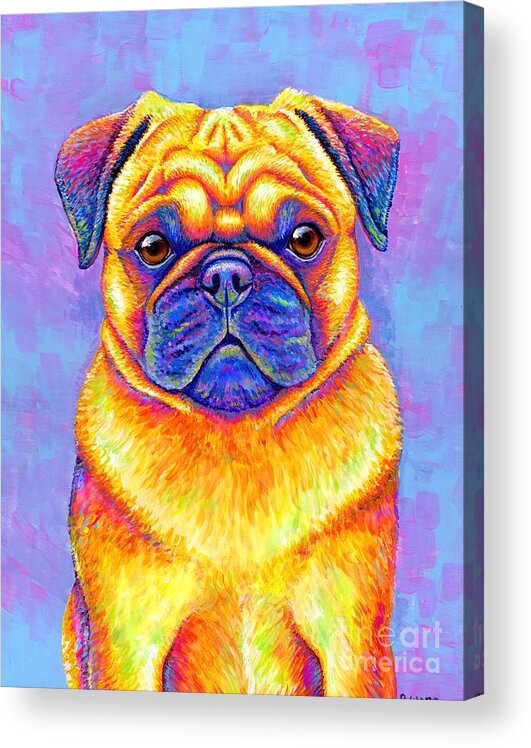 Pug Acrylic Print featuring the painting Colorful Rainbow Pug Dog Portrait by Rebecca Wang