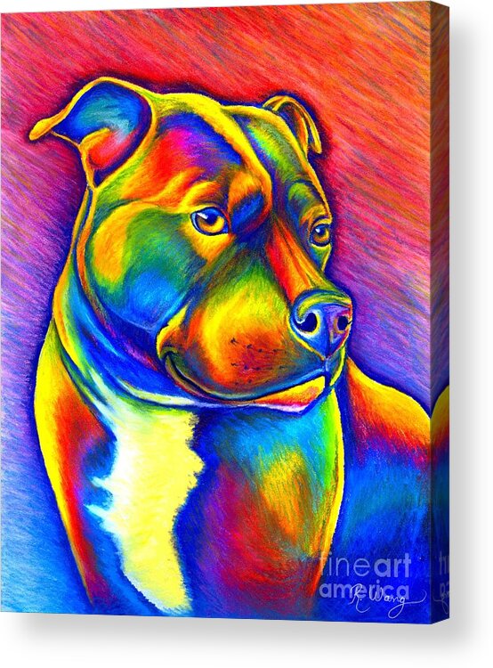 Staffordshire Bull Terrier Acrylic Print featuring the painting Colorful Rainbow Staffordshire Bull Terrier Dog by Rebecca Wang