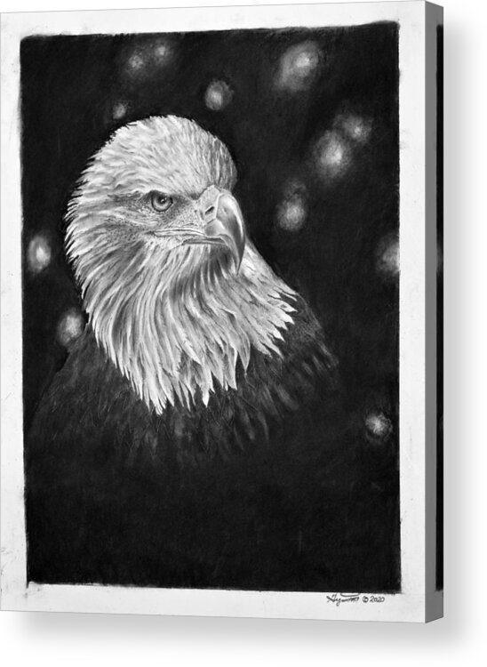 Eagle Acrylic Print featuring the drawing Commanding Gaze by Greg Fox