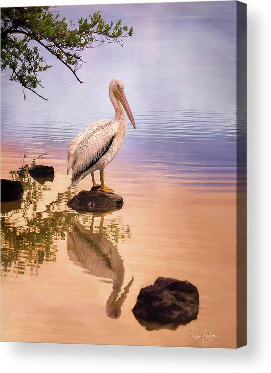 2/2/16 Acrylic Print featuring the photograph Reflection At Sunrise by Louise Lindsay