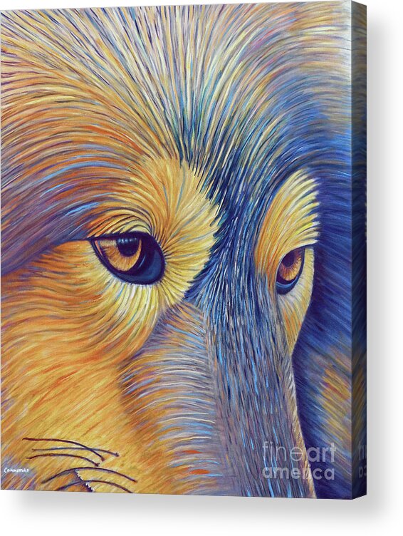 Wolf Acrylic Print featuring the painting Contemplation by Brian Commerford