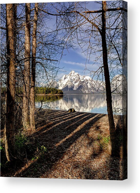 Grand Teton National Park Acrylic Print featuring the photograph Coulter Bay at Grand Teton National Park by Jack Bell