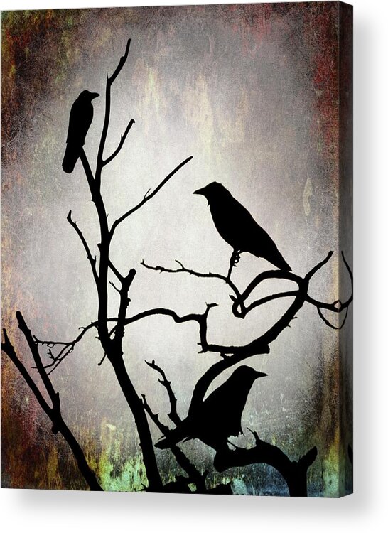 Bird Acrylic Print featuring the digital art Crow Birds on Tree Bird 92 by Lucie Dumas