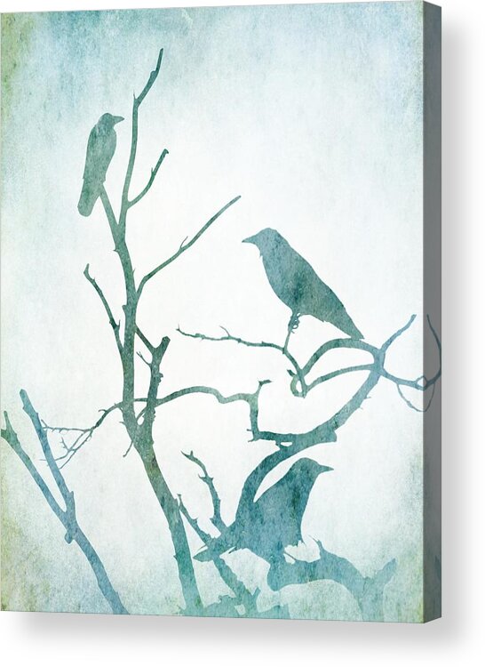 Bird Acrylic Print featuring the digital art Crow Birds on Tree Bird 93 by Lucie Dumas