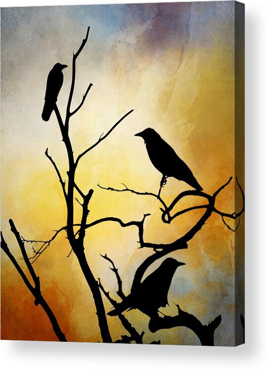 Bird Acrylic Print featuring the digital art Crow Birds on Tree Bird 95 by Lucie Dumas