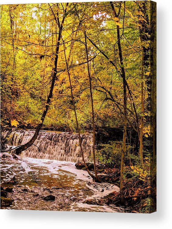  Acrylic Print featuring the photograph Crown Hill by Brad Nellis