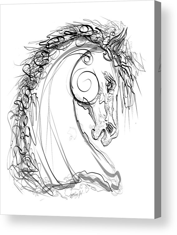  Drawing Acrylic Print featuring the drawing Dark Stallion Design Line Drawing by OLena Art