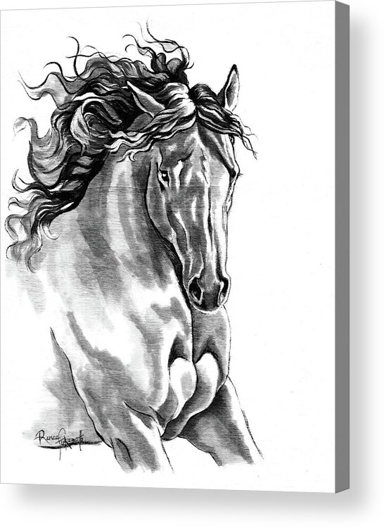 Black And White Horse Art Acrylic Print featuring the painting Dreamer Galloping Black Ink Horse by Renee Forth-Fukumoto