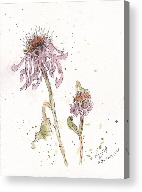 Flowers Acrylic Print featuring the painting Dried Coneflowers by Ruth Kamenev